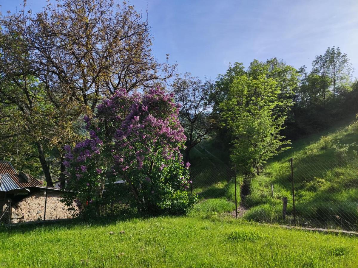 Comme Chez Vous Villa Bayons Eksteriør bilde
